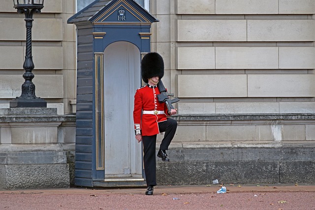guardia buckingham